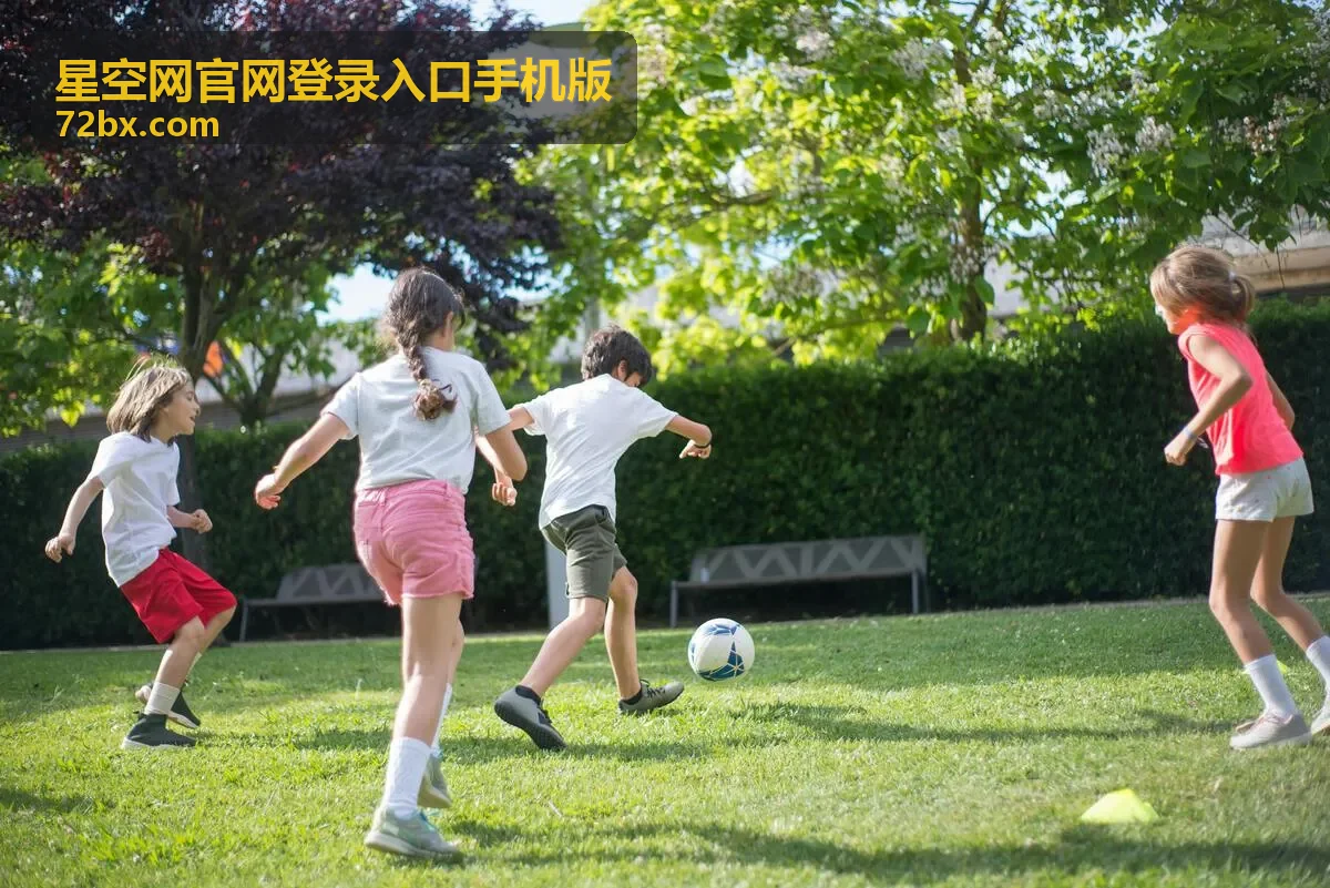 星空网账号安全保护设置